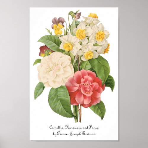 Vintage Floral Camelia Daffodil Flowers by Redoute Poster