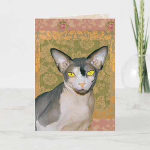 Vintage Floral Damask Sphynx Cat Birthday Card