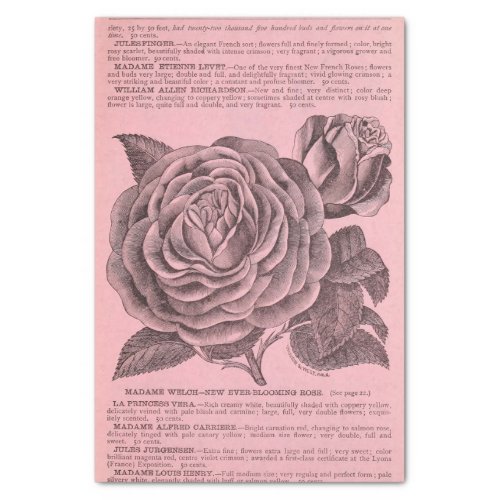 Vintage Floral Ephemera Decoupage Pink Rose Tissue Tissue Paper