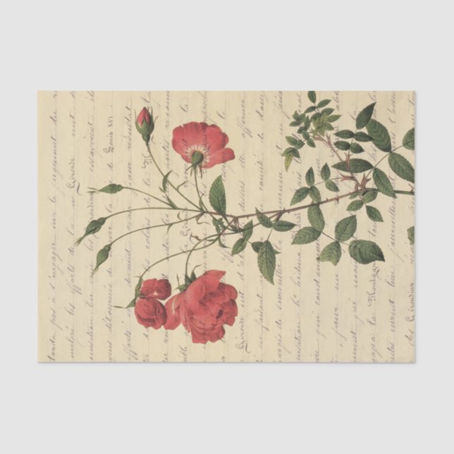 Vintage Floral Ephemera Tissue Paper (Front)