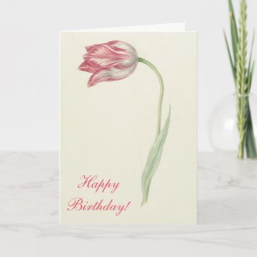 Vintage Floral Fine Art Pink Tulip - Birthday