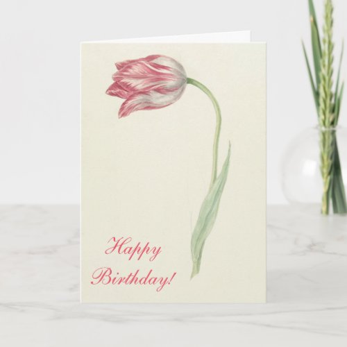 Vintage Floral Fine Art Pink Tulip _ Birthday Card