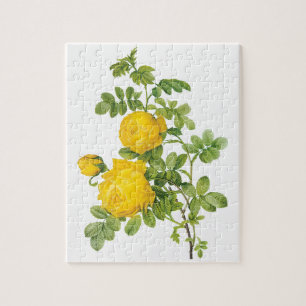 Vintage Floral Flowers, Yellow Roses by Redoute Jigsaw Puzzle
