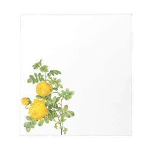 Vintage Floral Flowers, Yellow Roses by Redoute Notepad