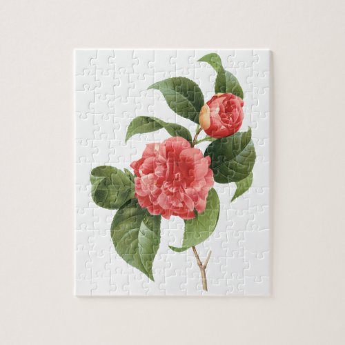 Vintage Floral Pink Camellia Flowers by Redoute Jigsaw Puzzle