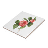 Vintage Floral, Pink Camellia Flowers by Redoute Tile (Side)