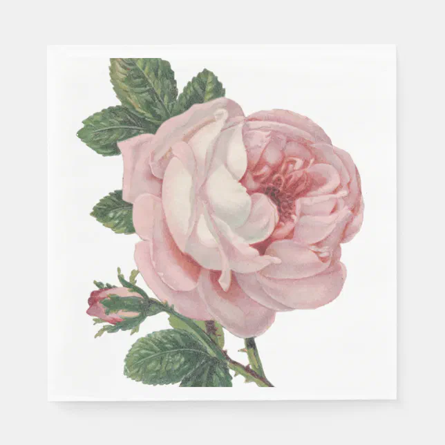 Vintage Floral Pink Rose Flower Shabby Chic Paper Napkins | Zazzle