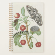Vintage Floral Planner with Moth and Caterpillar