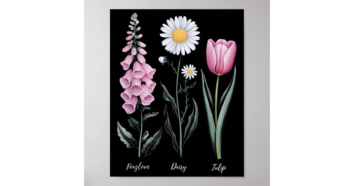 Vintage Floral Plant Foxglove Daisy Tulip Flower G Poster | Zazzle
