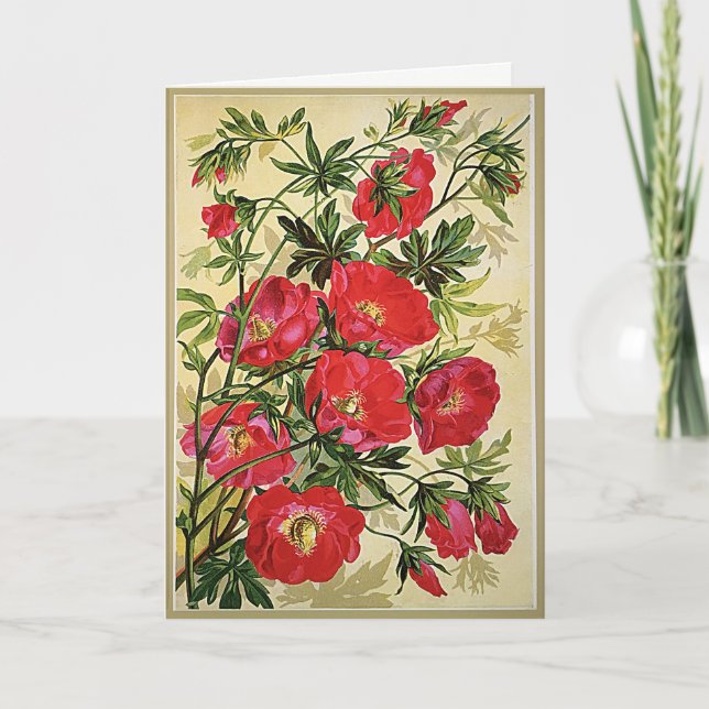 Vintage Floral Poppies Birthday Greeting Card (Front)
