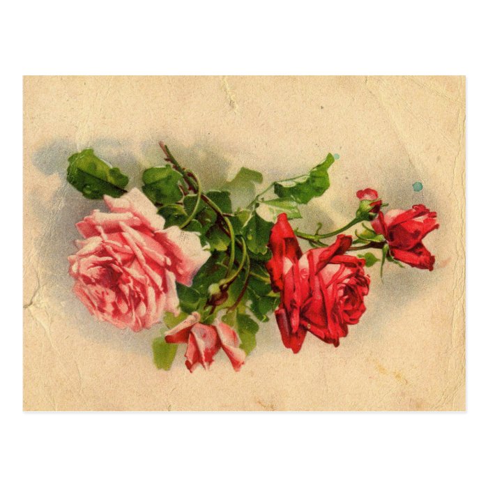 Vintage Floral Postcard