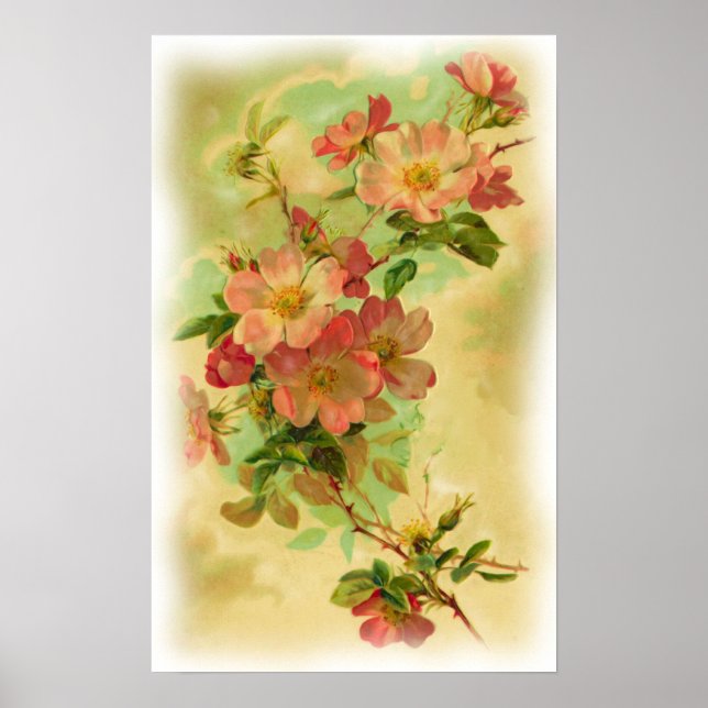 Vintage Floral Poster (Front)