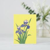 Vintage Floral, Purple Spring Garden Iris Flowers (Standing Front)