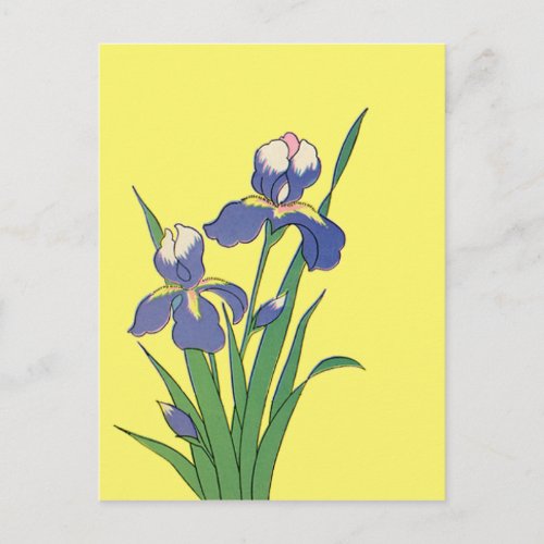 Vintage Floral Purple Spring Garden Iris Flowers Postcard