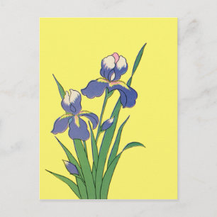 Vintage Floral, Purple Spring Garden Iris Flowers Postcard