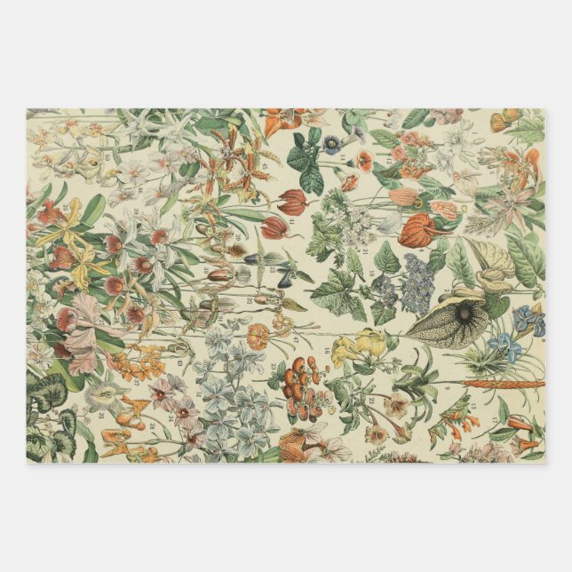Vintage Floral Rustic Elegant Botanical Wrapping Paper Sheets (Front)