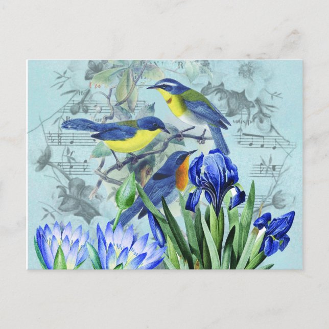 Vintage Floral Songbirds Apparel and Gifts Postcard (Front)