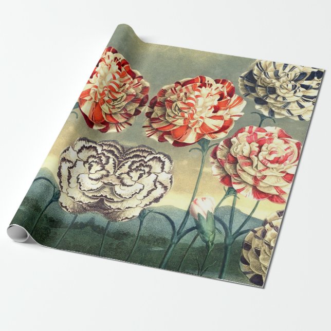 Vintage Floral Wrapping Paper (Unrolled)