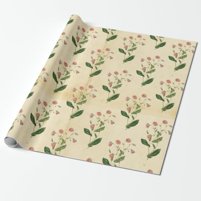 Vintage Floral Wrapping Paper (Unrolled)