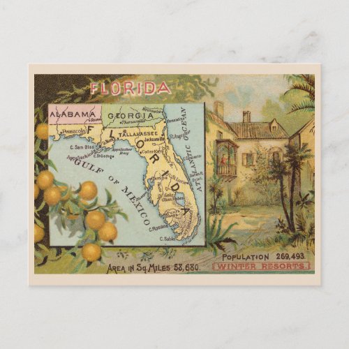 Vintage Florida 1880s Advertising with Map Postcard