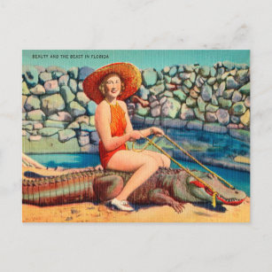 Vintage Florida Alligator and Woman Travel Postcard