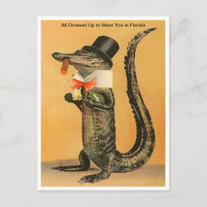 Vintage Florida Alligator Dressed Up Travel Postcard