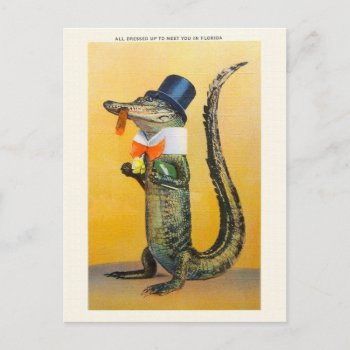 Vintage Florida Alligator Post Card by RetroMagicShop at Zazzle