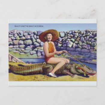 Vintage Florida Alligator Postcard by RetroMagicShop at Zazzle