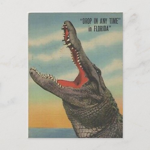 VINTAGE FLORIDA ALLIGATOR POSTCARD