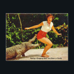 Vintage Florida Alligator Travel Postcard<br><div class="desc">Vintage Florida Alligator Travel Postcard</div>