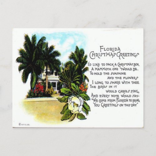 Vintage Florida Christmas Greeting Holiday Postcard