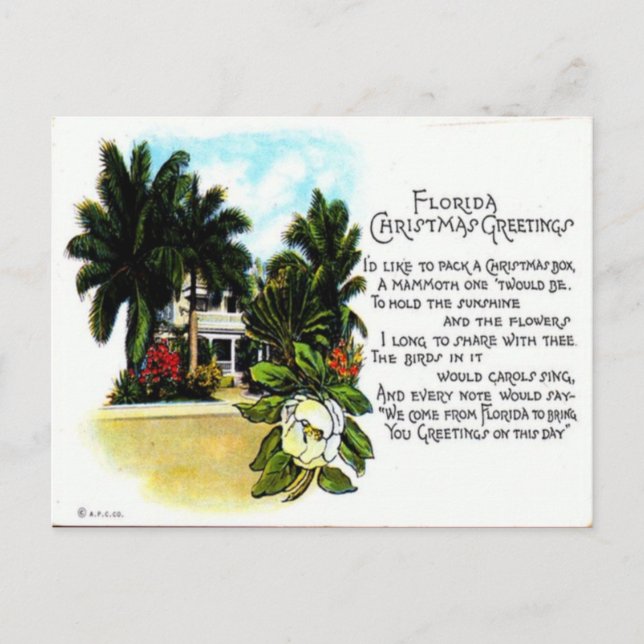 Vintage Florida Christmas Greeting Holiday Postcard (Front)