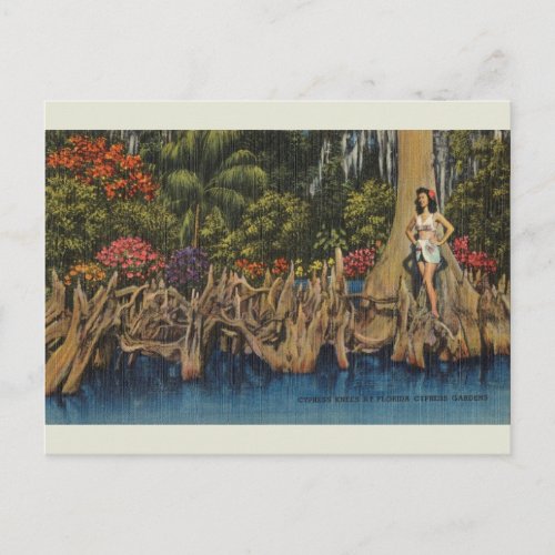 Vintage Florida Cypress Gardens Postcard