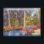 Vintage Florida Cypress Gardens Travel Postcard<br><div class="desc">Vintage Florida Cypress Gardens Travel Postcard</div>