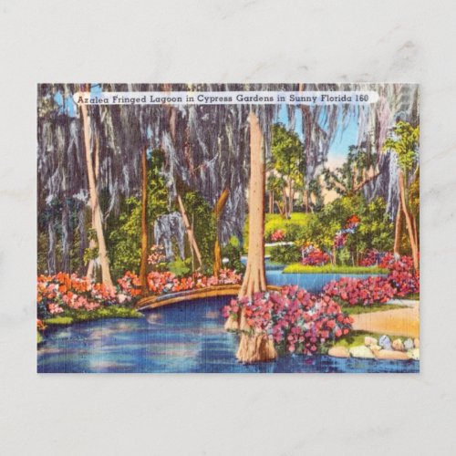 Vintage Florida Cypress Gardens Travel Postcard
