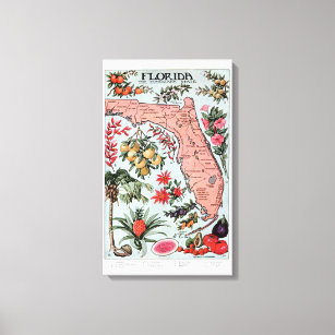 Vintage Florida Everglade State Fruit and Flowers Canvas Print
