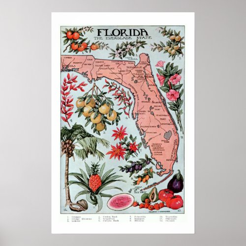 Vintage Florida Everglade State Fruit and Flowers  Poster