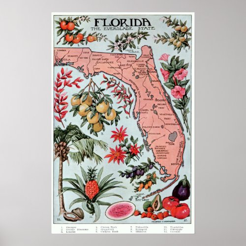 Vintage Florida Everglade State Fruit and Flowers Poster