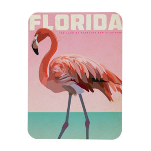 Vintage florida flamigo travel magnet
