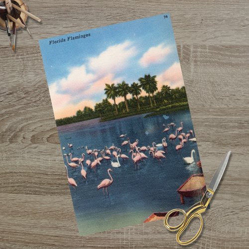 Vintage Florida Flamingos  Tissue Paper