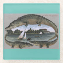Vintage Florida Gators coasters. Tampa alligators