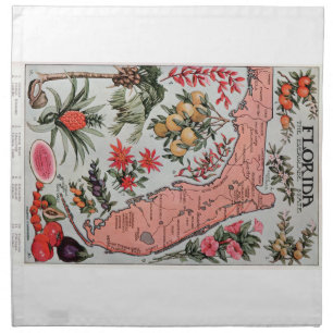 Vintage Florida Map Cloth Napkin