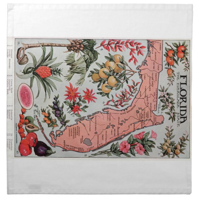 Vintage Florida Map Cloth Napkin (Front)