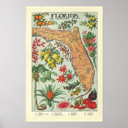 Vintage Florida Map _ Flora Poster