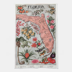 Vintage Florida Map Kitchen Towel