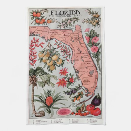 Vintage Florida Map Kitchen Towel