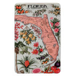 Vintage Florida Map Magnet at Zazzle