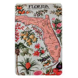 Vintage Florida Map Magnet