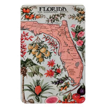 Vintage Florida Map Magnet by ellesgreetings at Zazzle