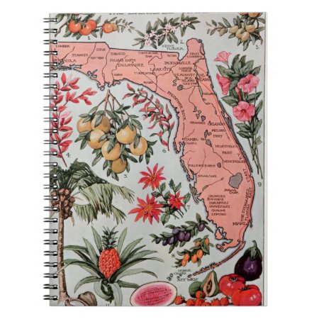 Vintage Florida Map Notebook